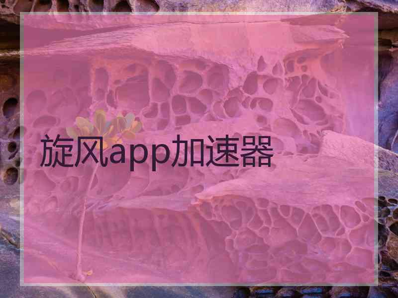 旋风app加速器