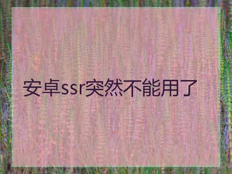 安卓ssr突然不能用了