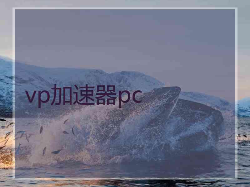 vp加速器pc