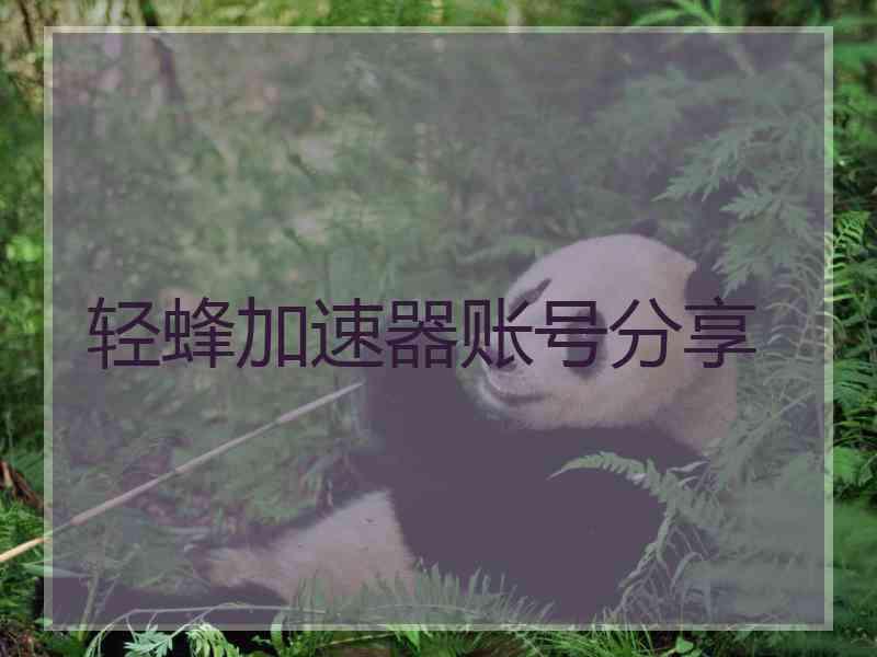 轻蜂加速器账号分享