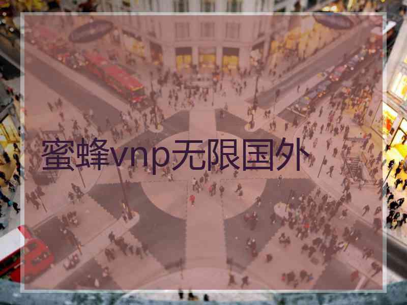 蜜蜂vnp无限国外