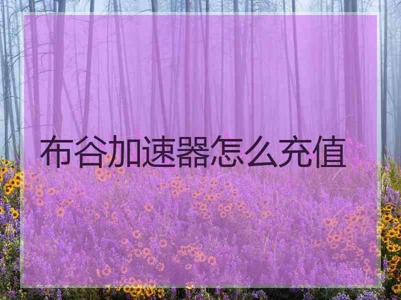 布谷加速器怎么充值