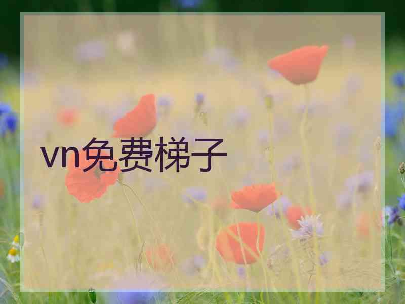 vn免费梯子