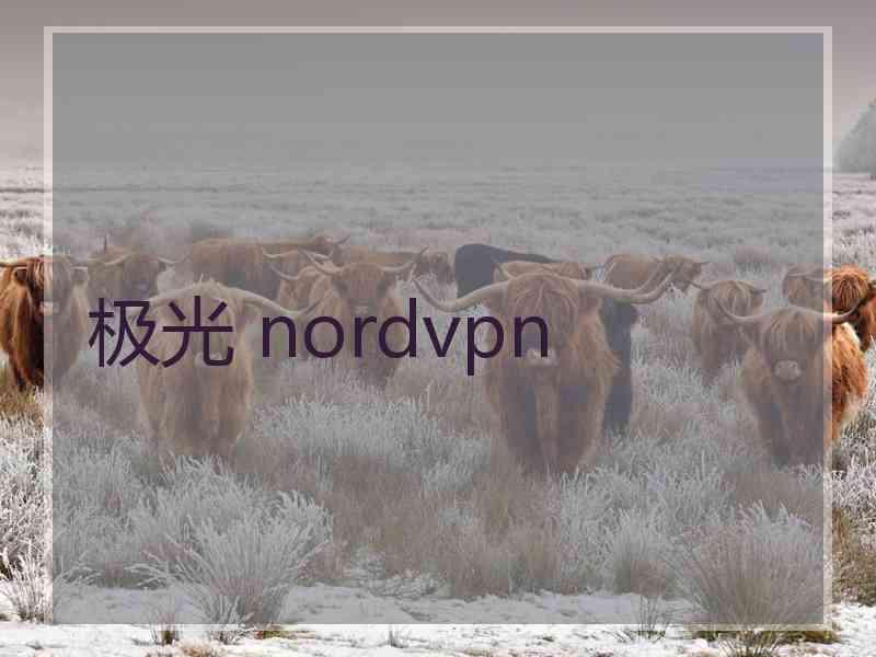 极光 nordvpn