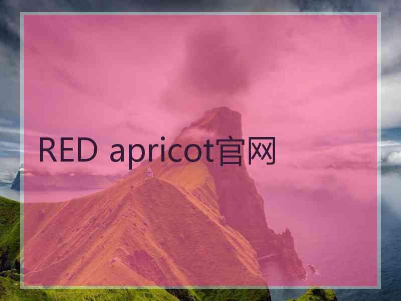 RED apricot官网