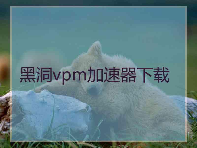 黑洞vpm加速器下载