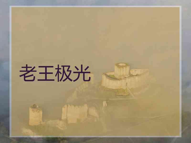 老王极光