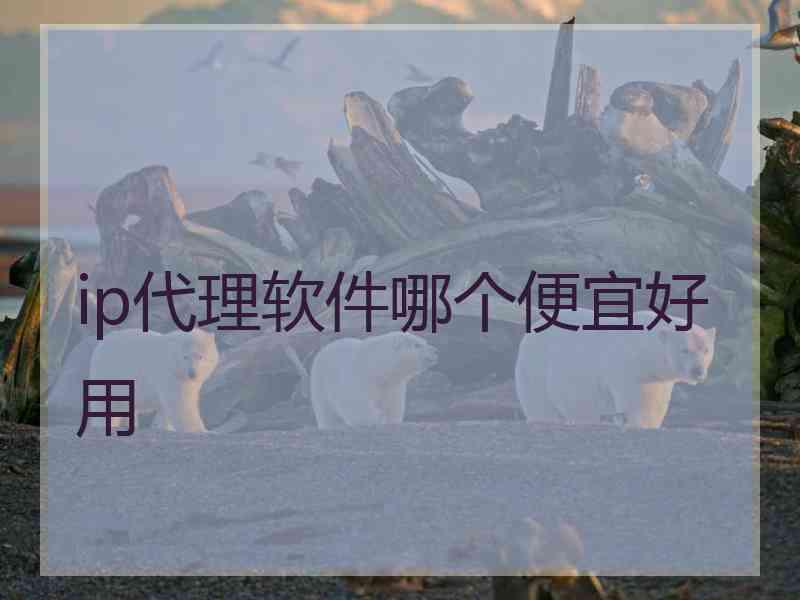 ip代理软件哪个便宜好用