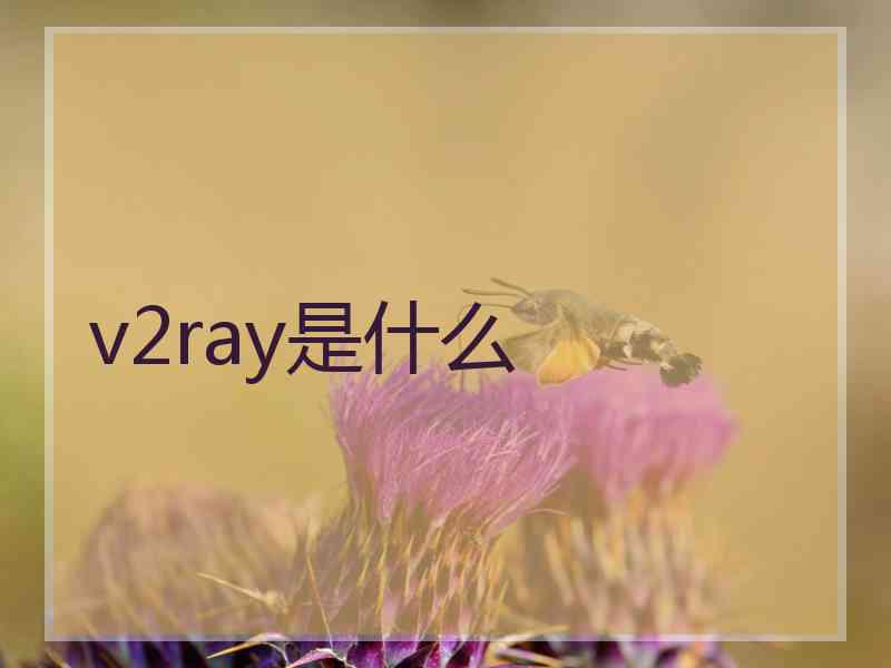 v2ray是什么