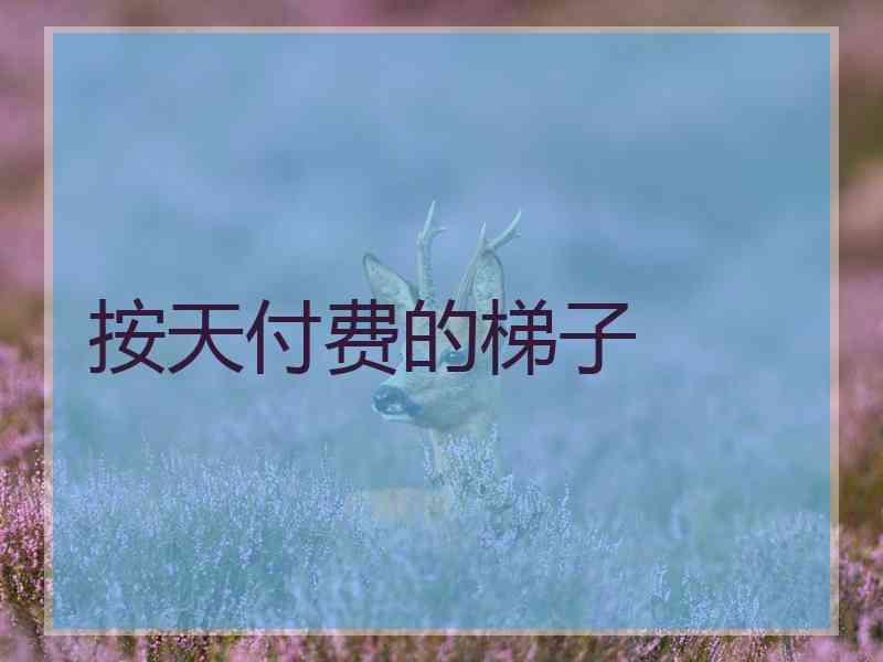按天付费的梯子
