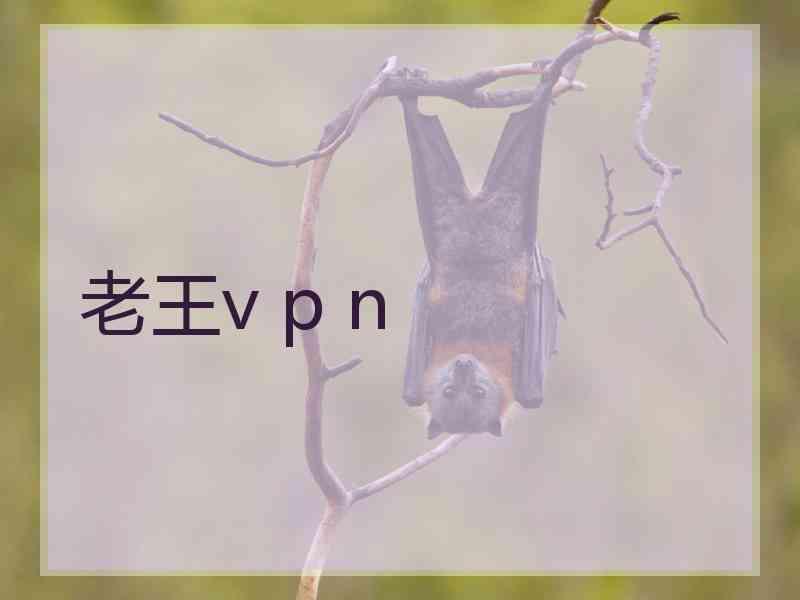 老王v p n