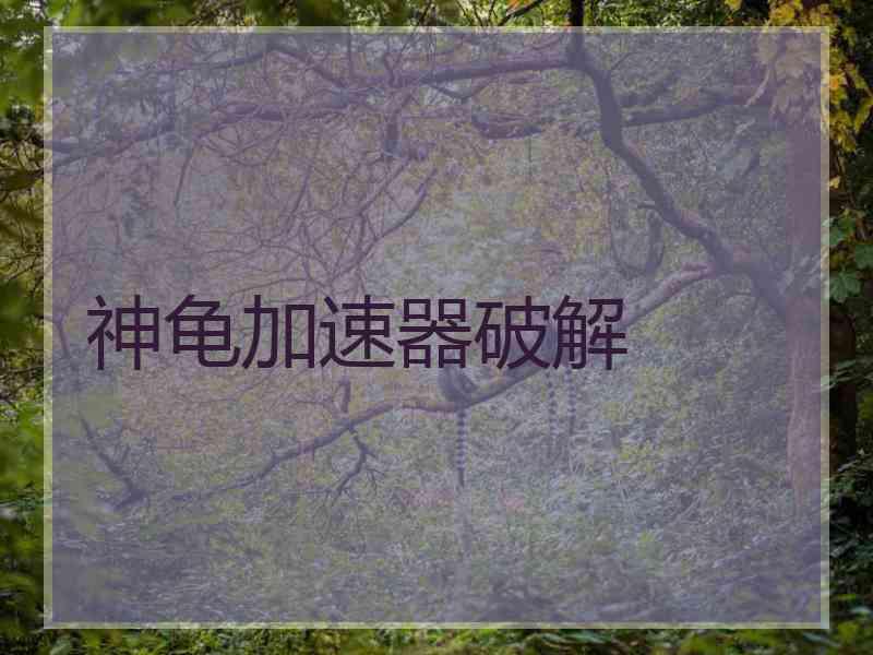 神龟加速器破解