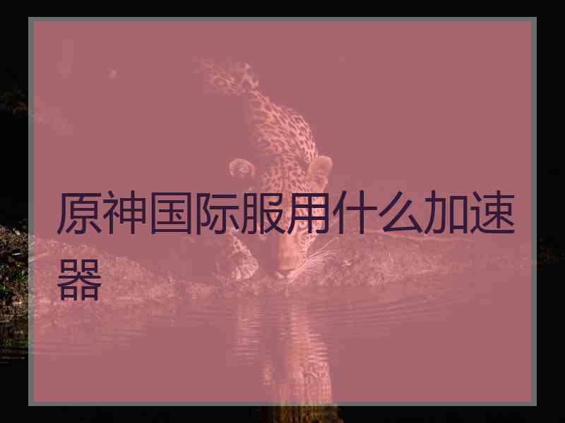 原神国际服用什么加速器