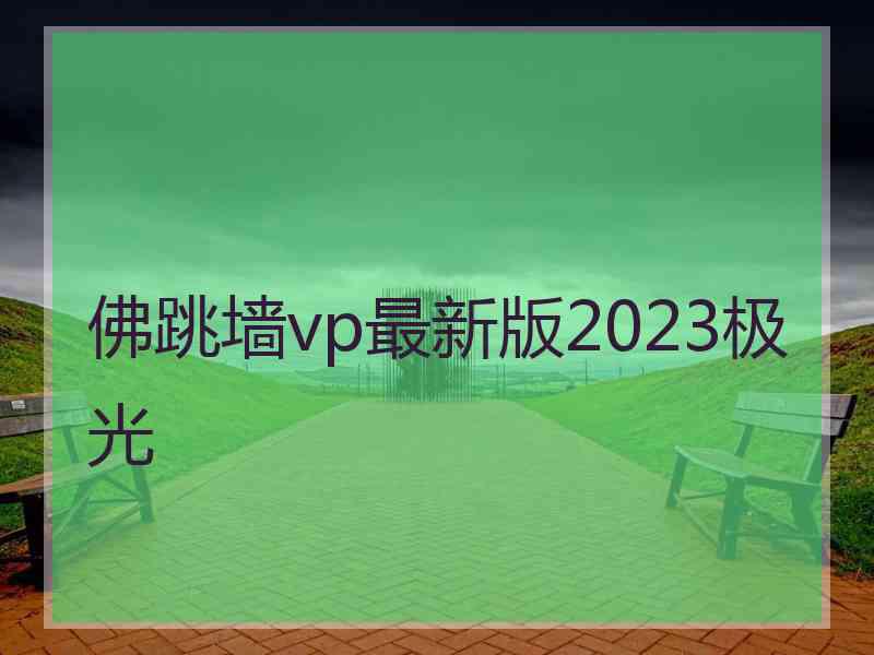 佛跳墙vp最新版2023极光