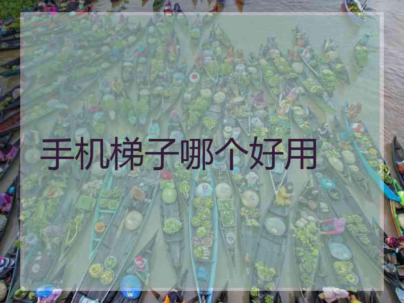 手机梯子哪个好用