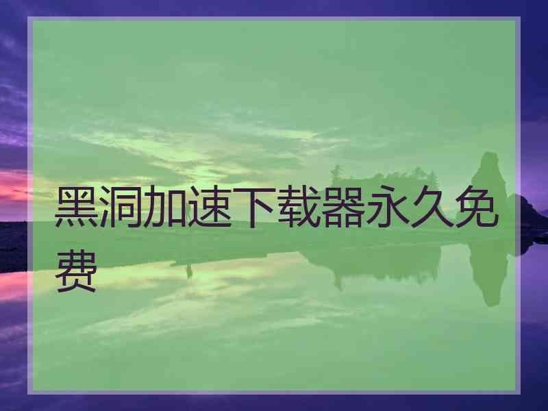 黑洞加速下载器永久免费