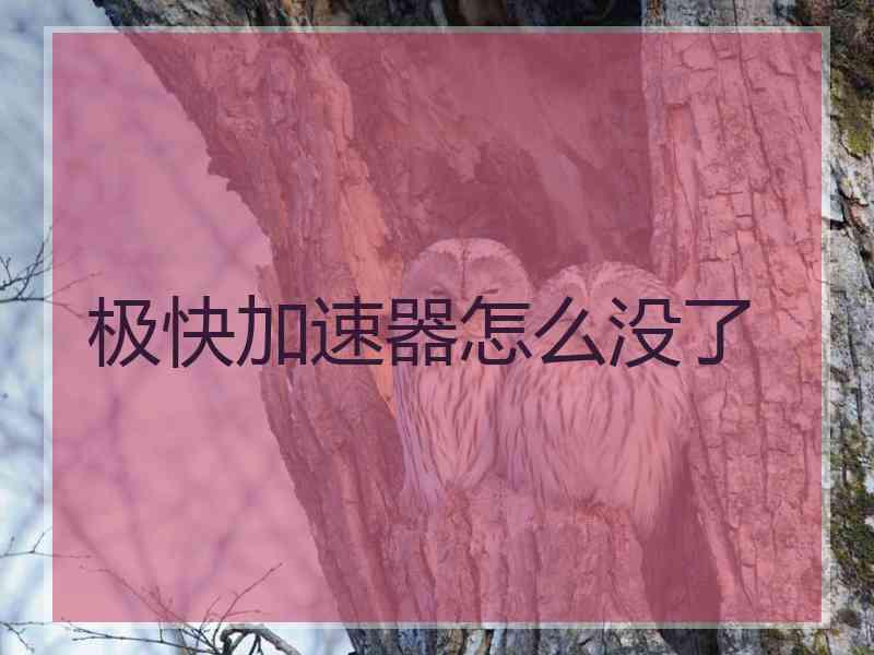 极快加速器怎么没了