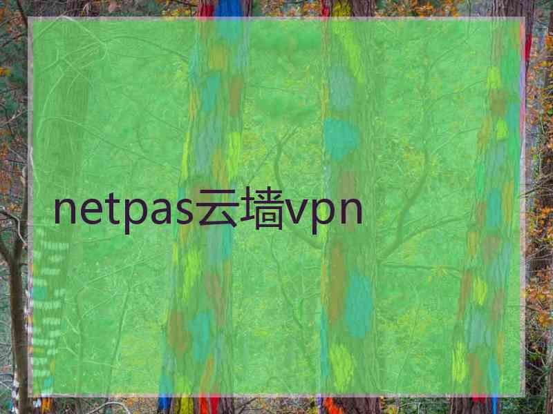 netpas云墙vpn