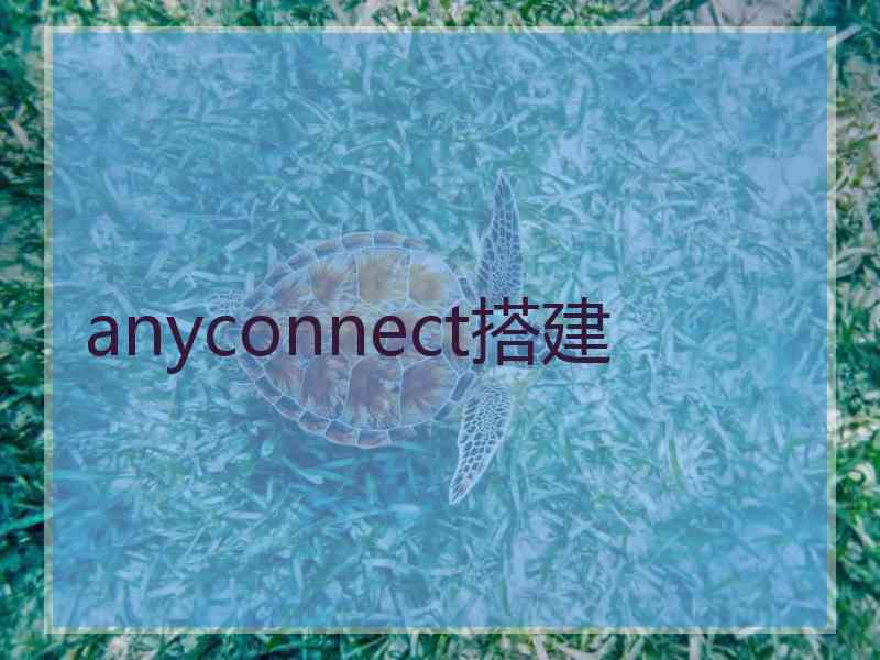 anyconnect搭建