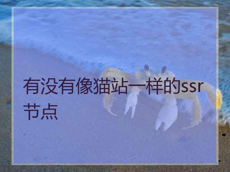 有没有像猫站一样的ssr节点
