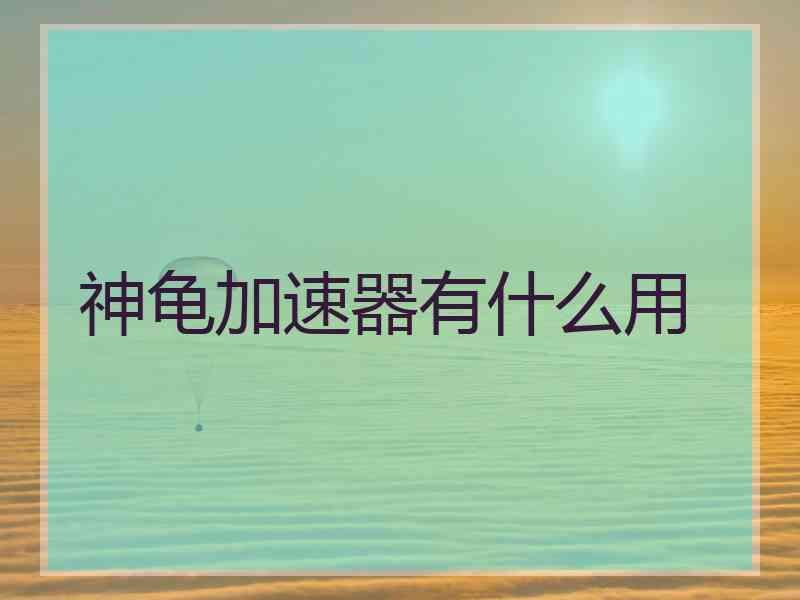 神龟加速器有什么用