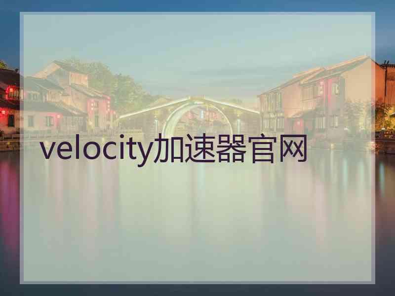 velocity加速器官网