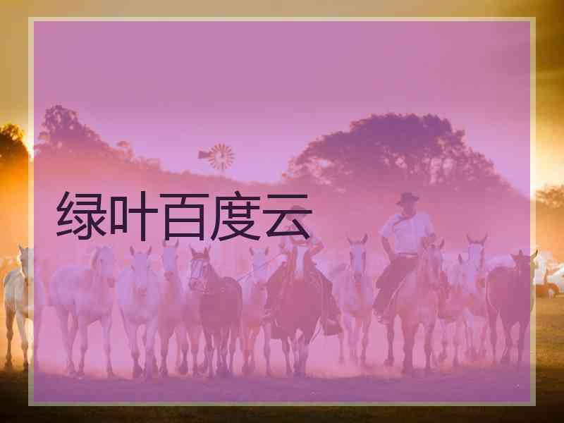 绿叶百度云