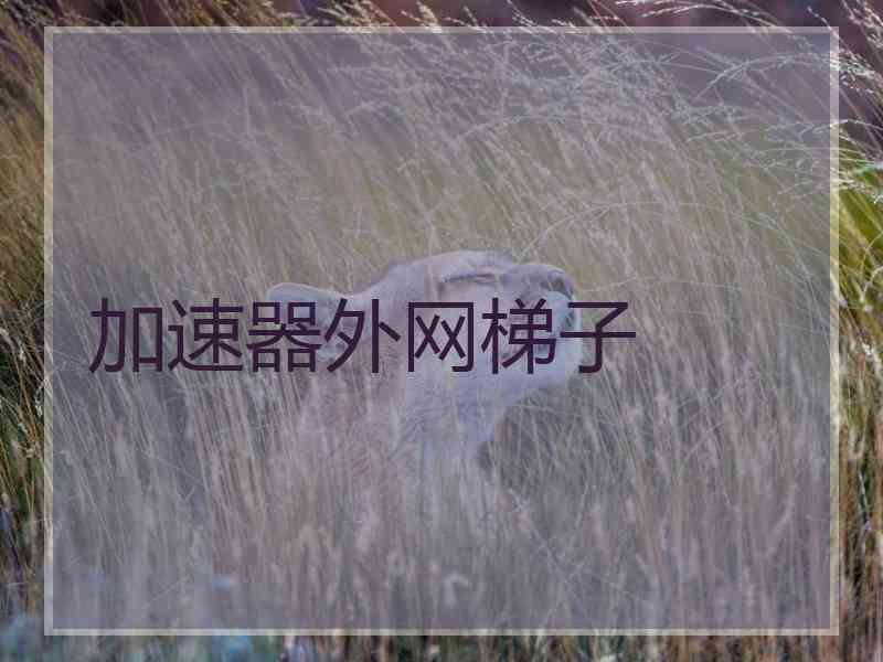 加速器外网梯子