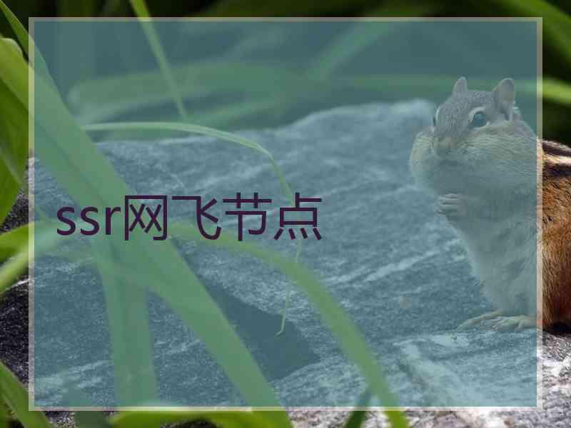 ssr网飞节点