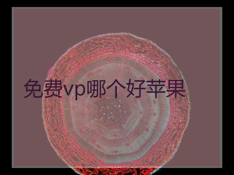 免费vp哪个好苹果