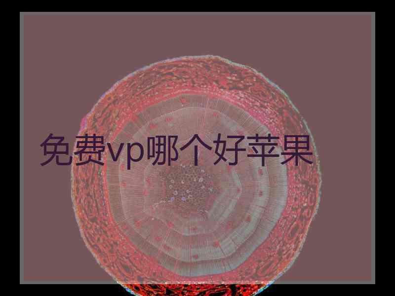 免费vp哪个好苹果