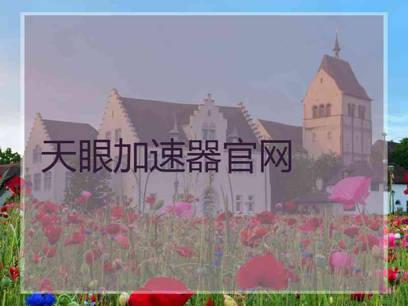 天眼加速器官网