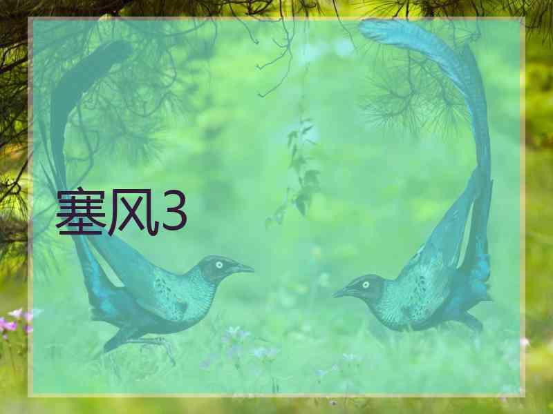 塞风3