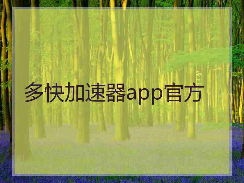多快加速器app官方