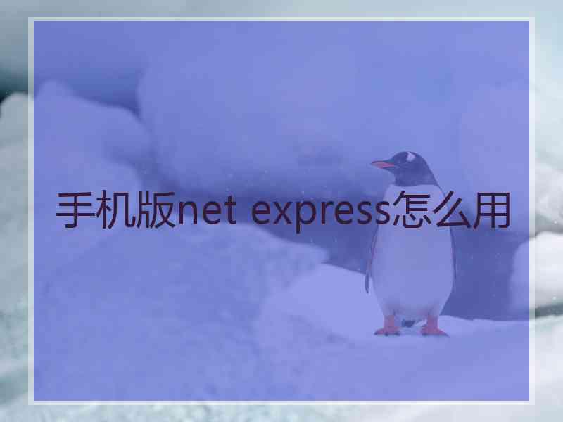 手机版net express怎么用