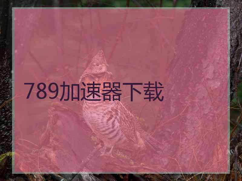 789加速器下载