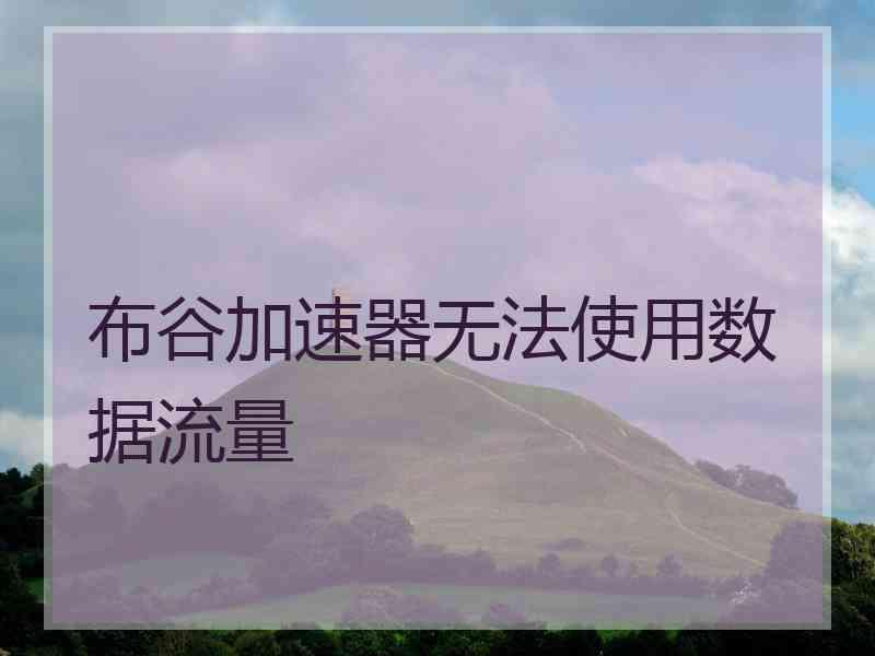 布谷加速器无法使用数据流量