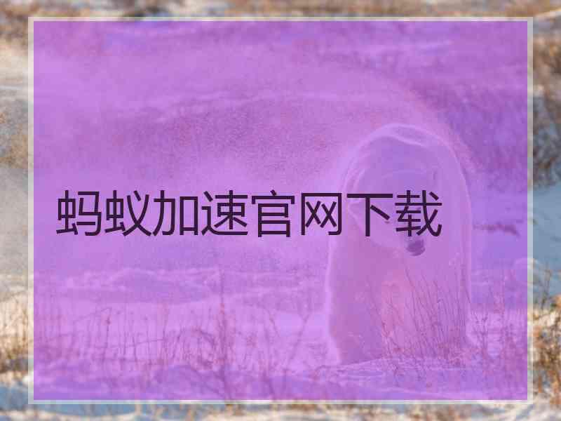 蚂蚁加速官网下载