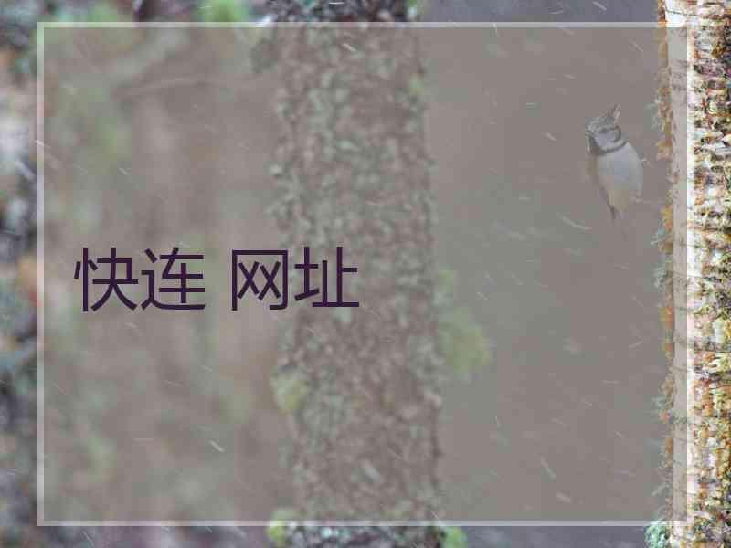 快连 网址