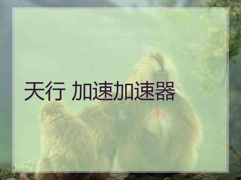 天行 加速加速器