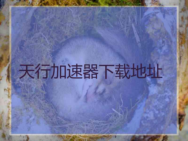 天行加速器下载地址