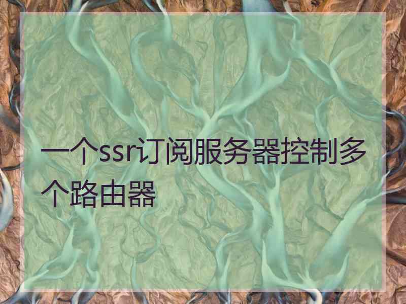 一个ssr订阅服务器控制多个路由器