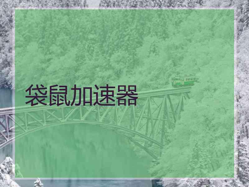 袋鼠加速器