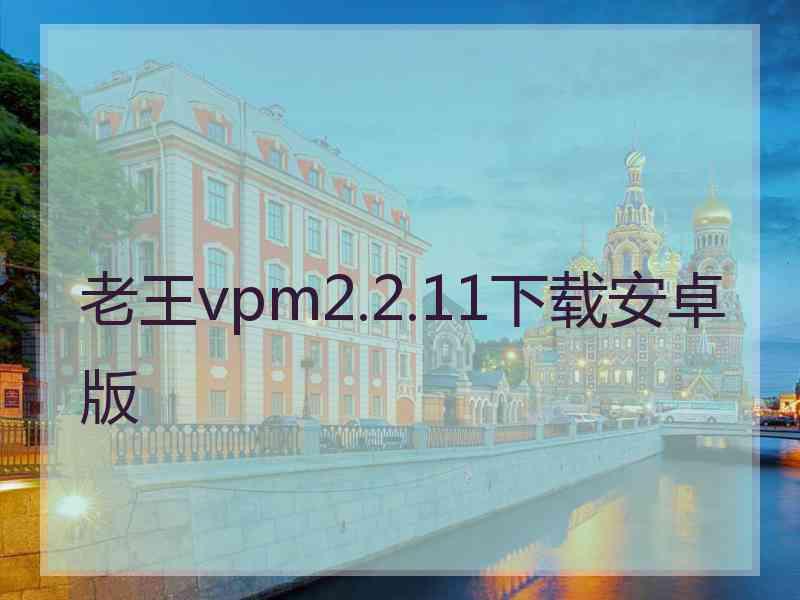 老王vpm2.2.11下载安卓版