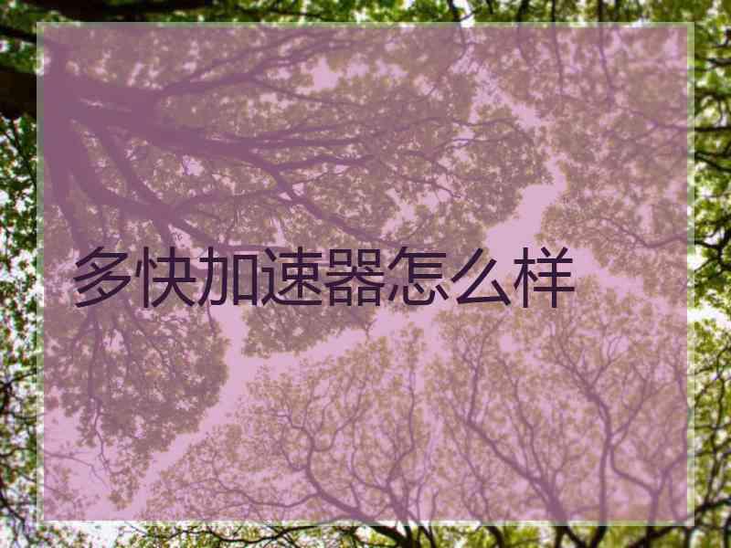 多快加速器怎么样