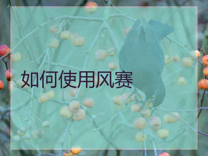 如何使用风赛