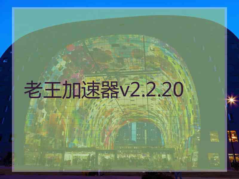老王加速器v2.2.20