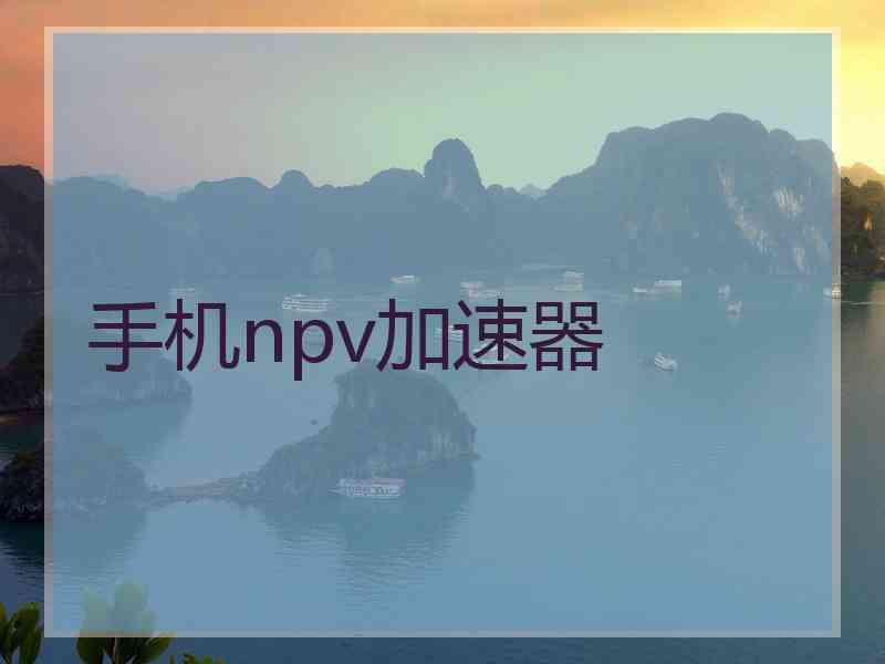 手机npv加速器