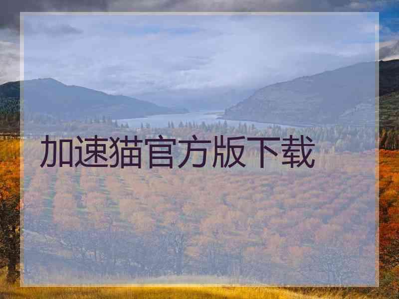 加速猫官方版下载