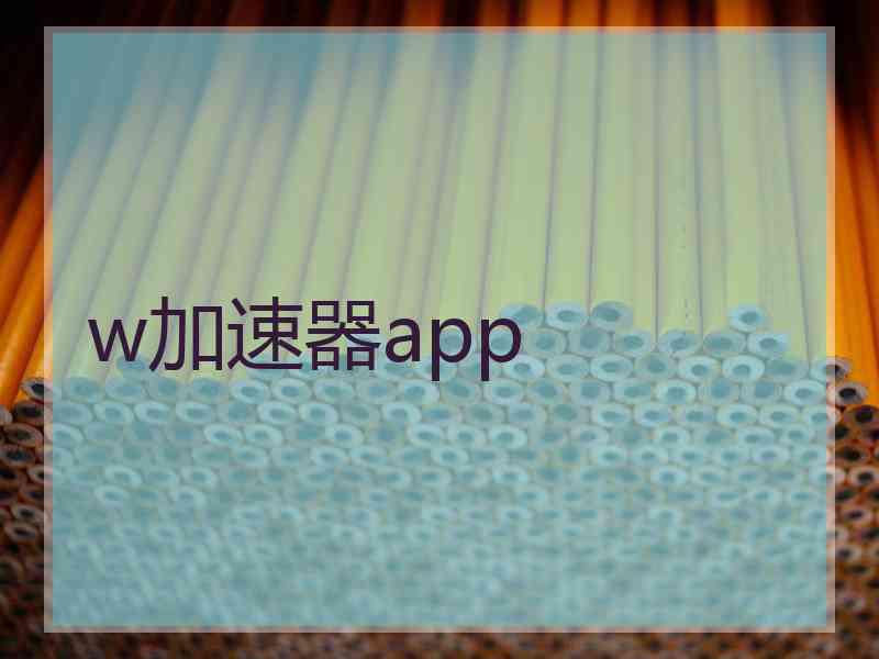 w加速器app